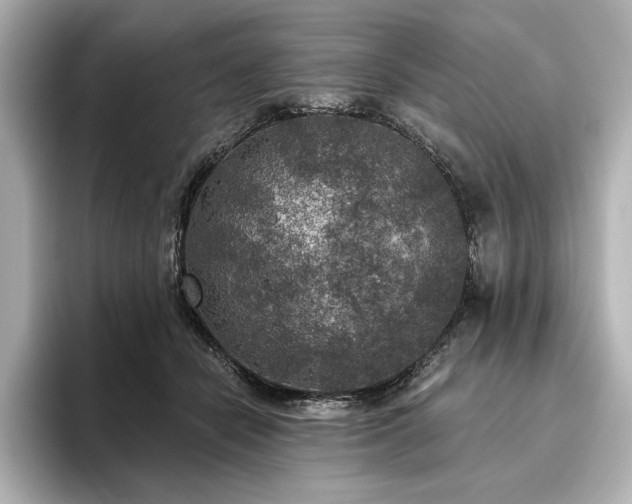 X0000096490462200801241508