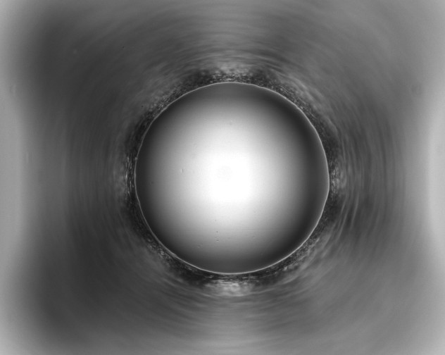 X0000096490464200801241508