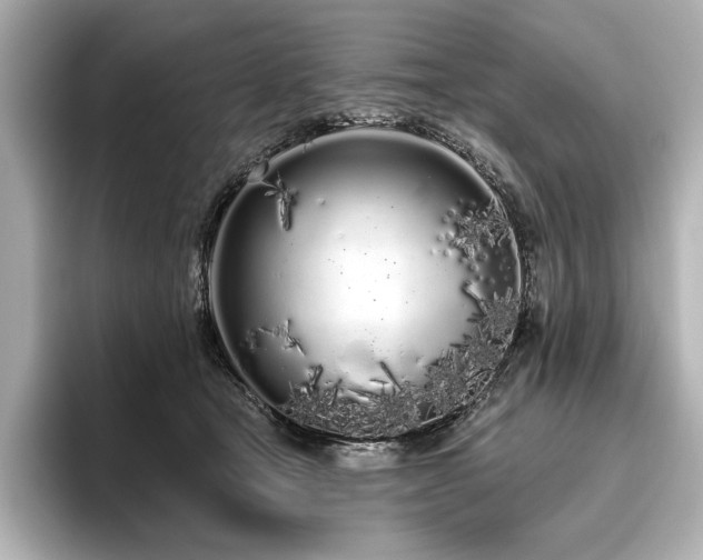 X0000096490465200801241508