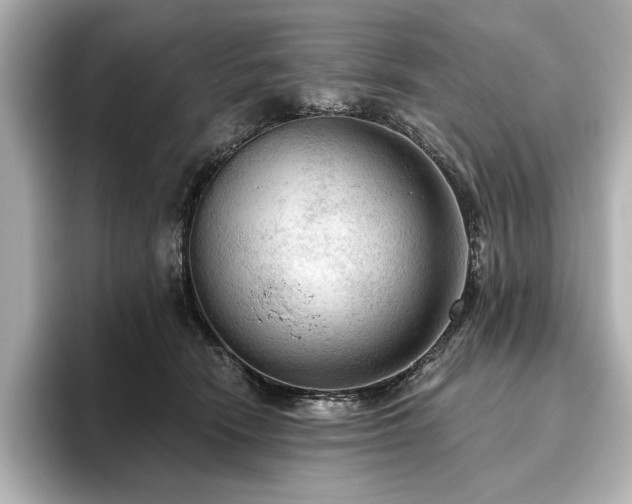 X0000096490466200801241508