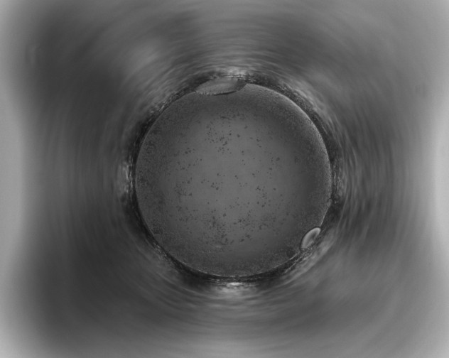X0000096490467200801241508