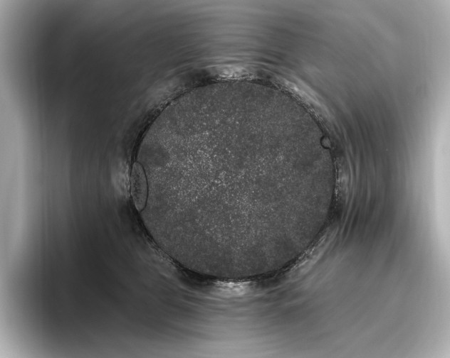 X0000096490469200801241508