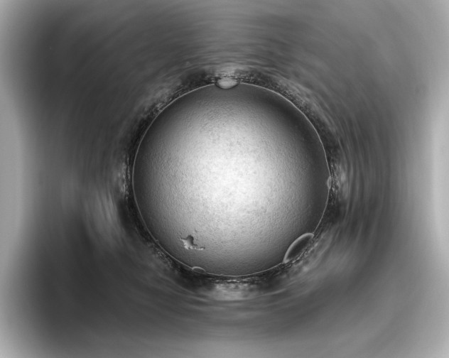 X0000096490470200801241508