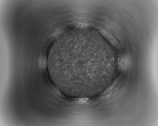 X0000096490474200801241508