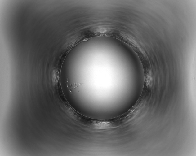 X0000096490476200801241509