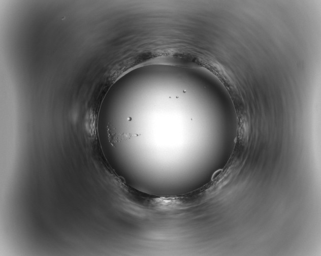 X0000096490477200801241509