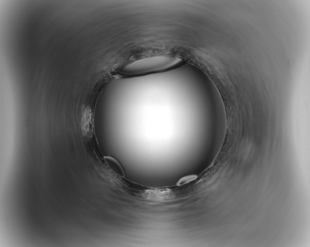 X0000096490480200801241509