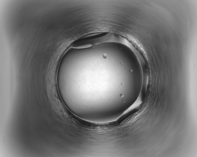 X0000096490481200801241508