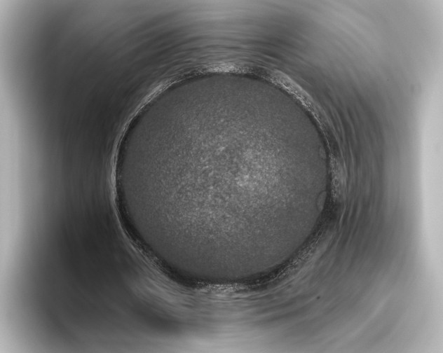 X0000096490482200801241508