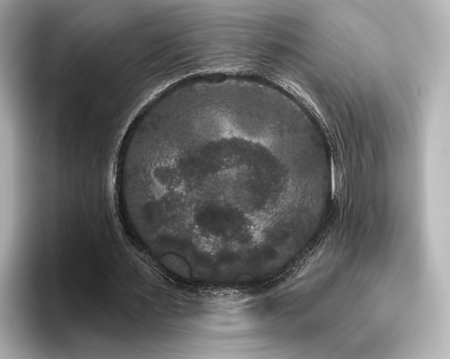 X0000096490483200801241508