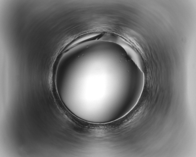 X0000096490485200801241508