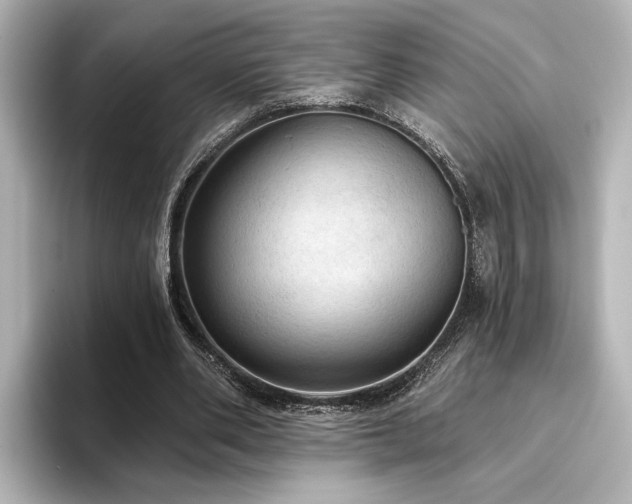 X0000096490486200801241508