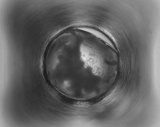 X0000096490487200801241508