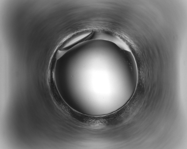X0000096490488200801241508