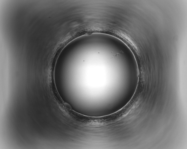 X0000096490489200801241508