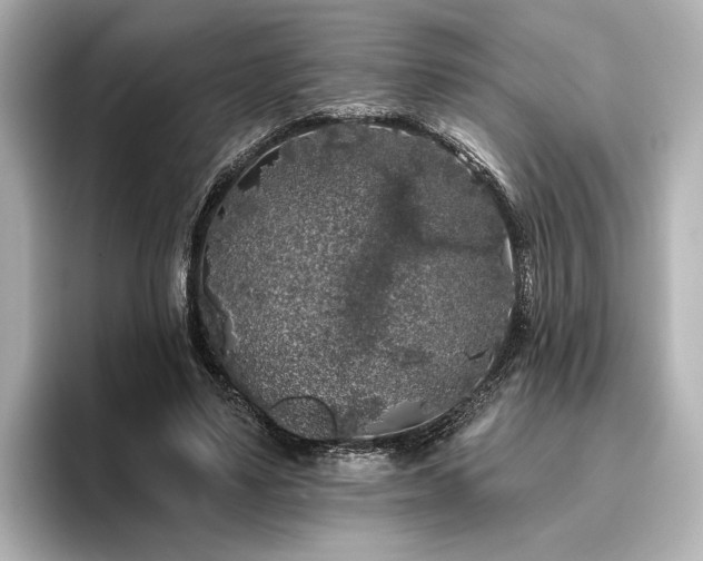 X0000096490491200801241508