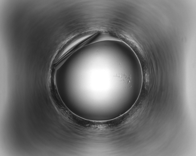 X0000096490492200801241508