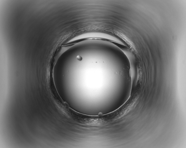 X0000096490493200801241508