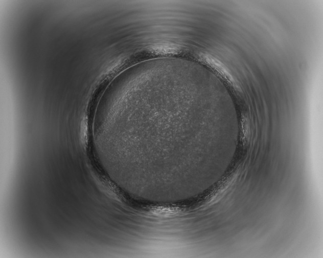 X0000096490494200801241508