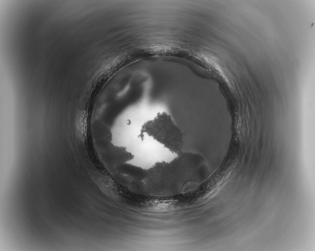 X0000096490495200801241508