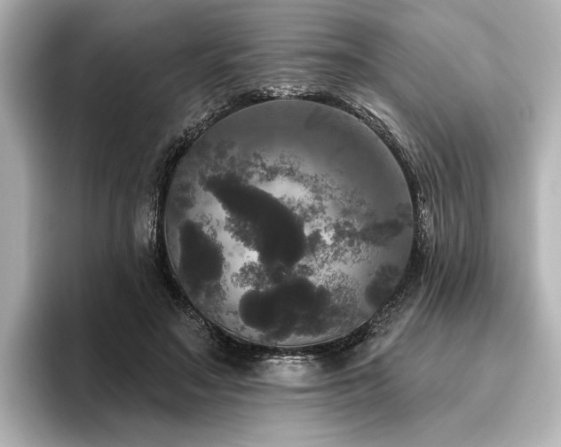 X0000096490499200801241508