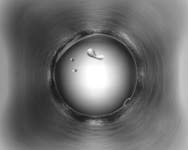 X0000096490500200801241508