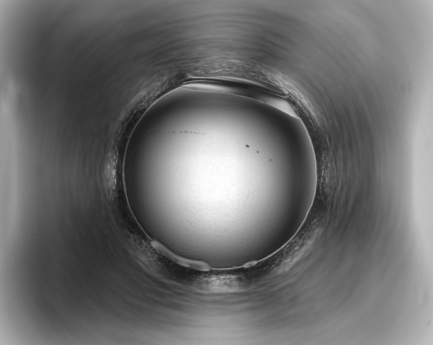 X0000096490501200801241508
