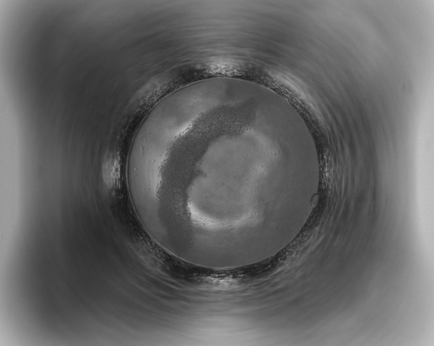 X0000096490502200801241508