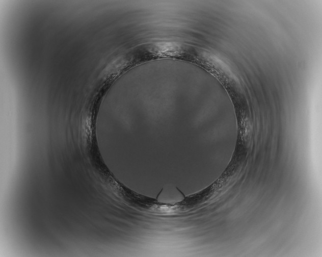 X0000096490506200801241508