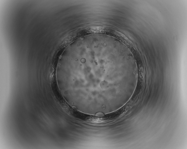 X0000096490507200801241508