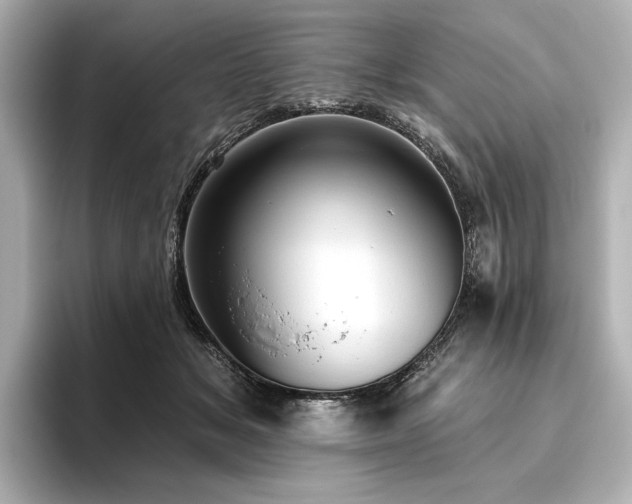 X0000096490509200801241508