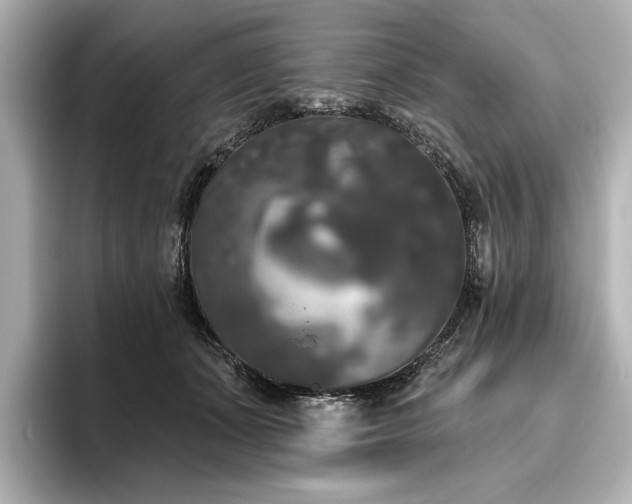X0000096490511200801241508