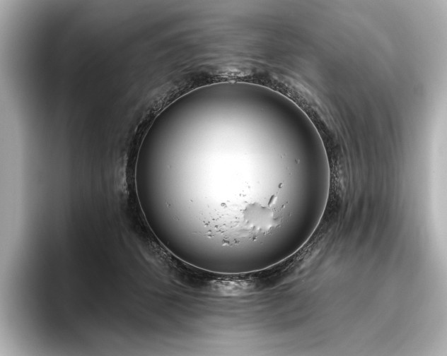 X0000096490512200801241508