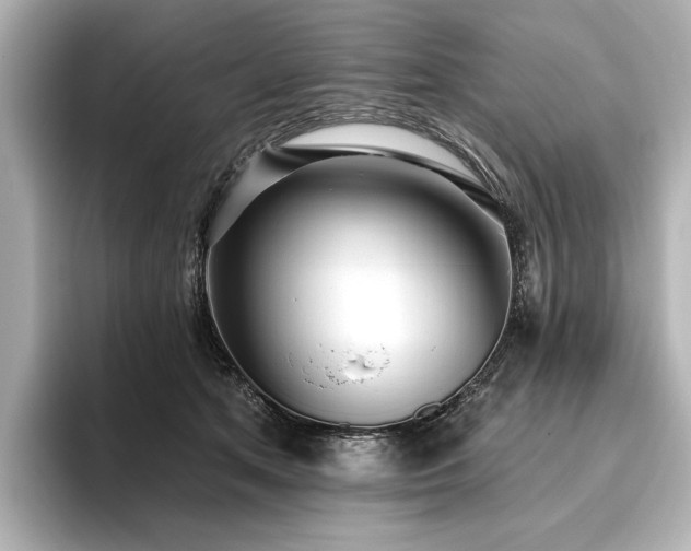 X0000096490513200801241508