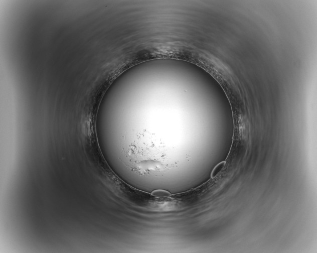 X0000096490514200801241507