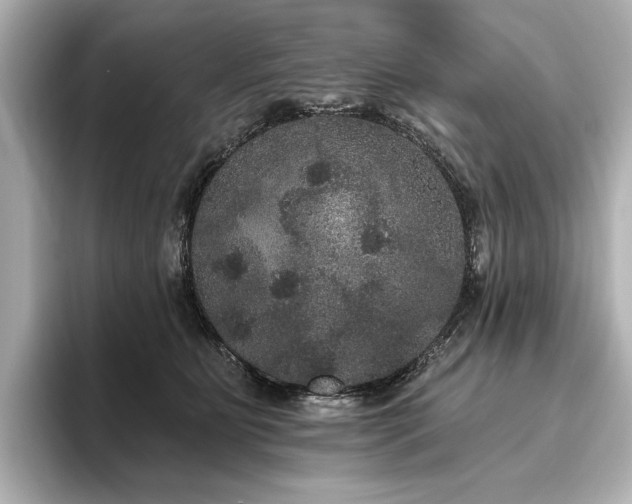 X0000096490515200801241507
