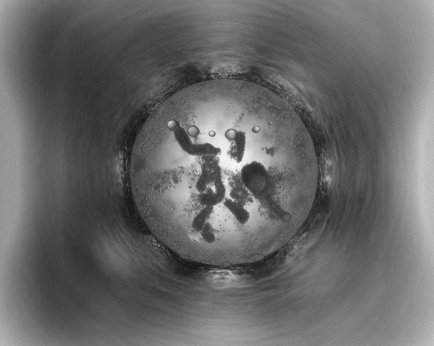 X0000096490519200801241507