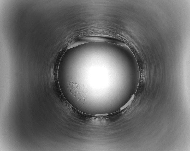 X0000096490520200801241507