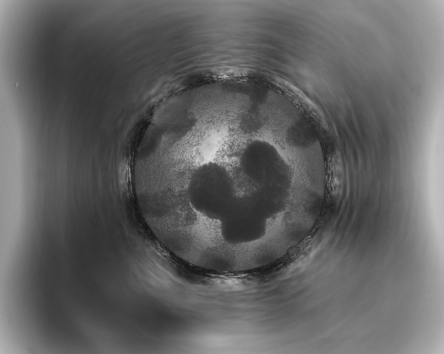X0000096490523200801241507