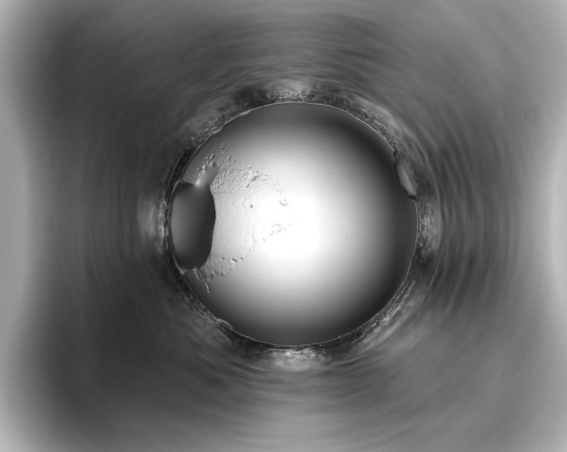 X0000096490525200801241507