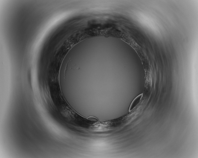 X0000096490526200801241507
