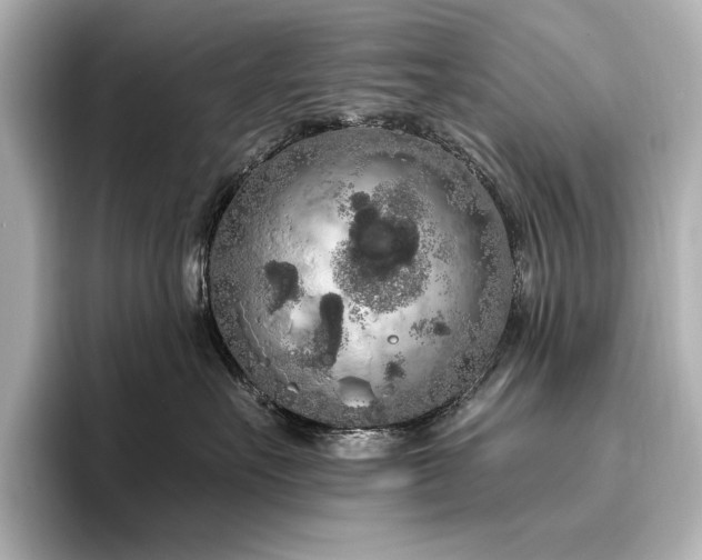 X0000096490527200801241507