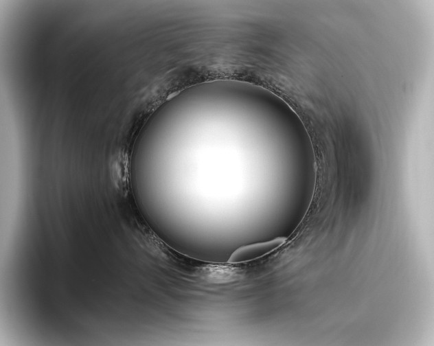X0000096490528200801241507