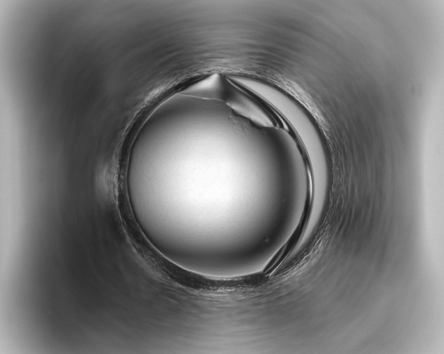 X0000096490530200801241507