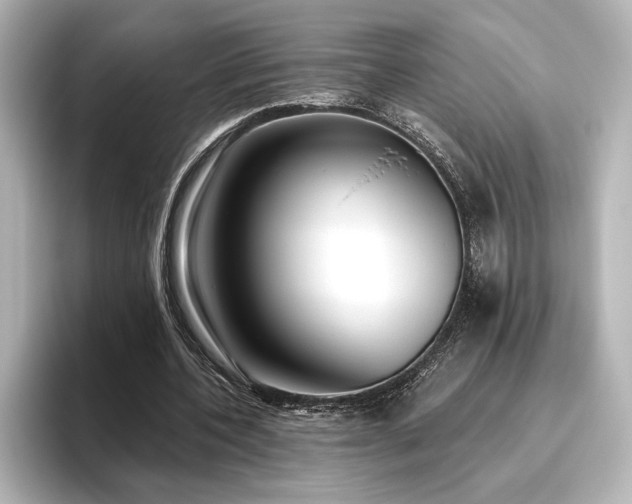 X0000096490532200801241507
