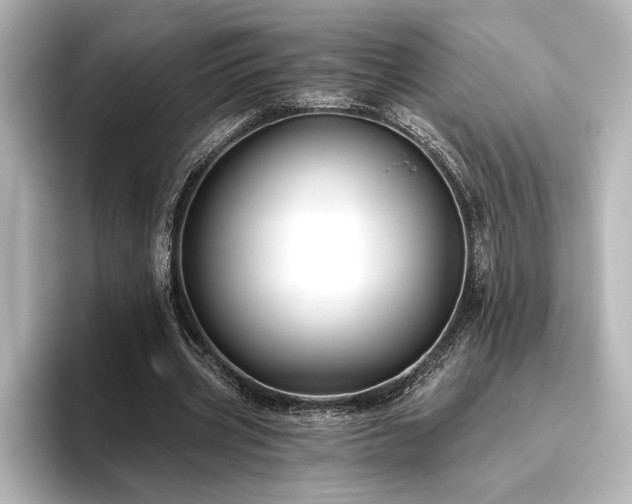 X0000096490533200801241507
