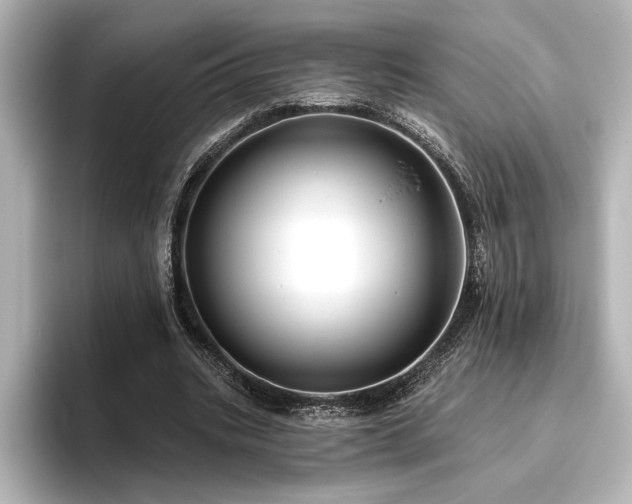 X0000096490535200801241507