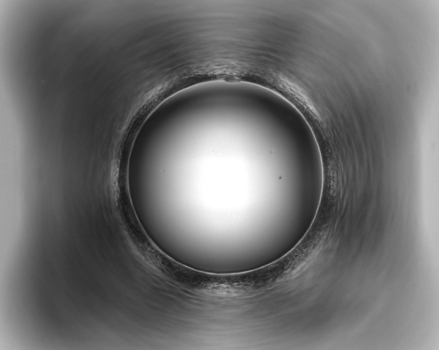 X0000096490538200801241507