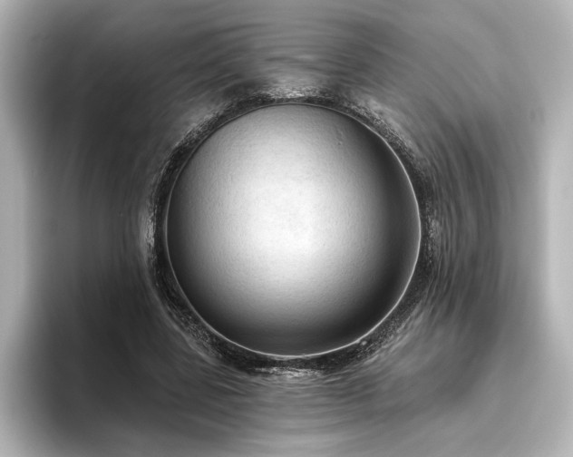 X0000096490539200801241507