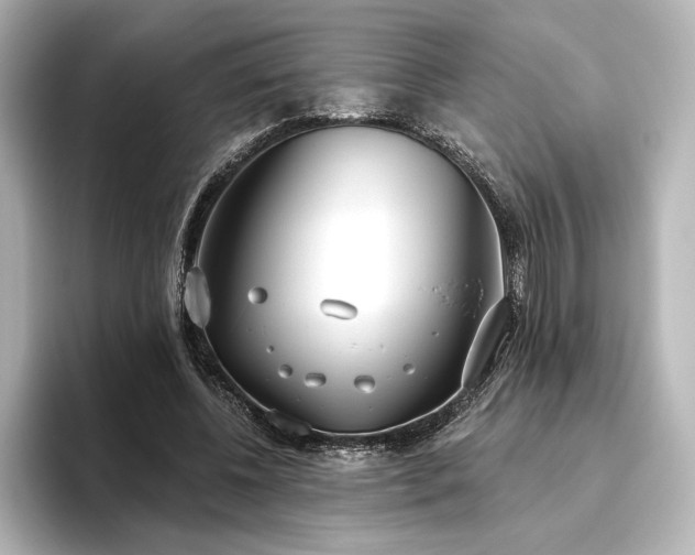 X0000096490540200801241507